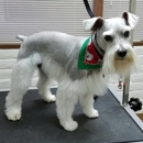 Paws & Effect - Pet Grooming
