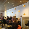 Delicia gallery