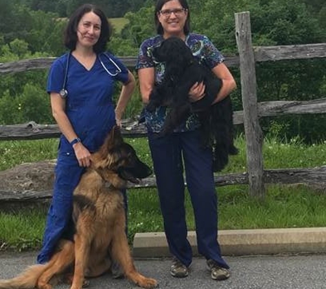 Broad River Animal Hospital - Weaverville, NC