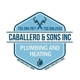 Caballero & Sons Inc