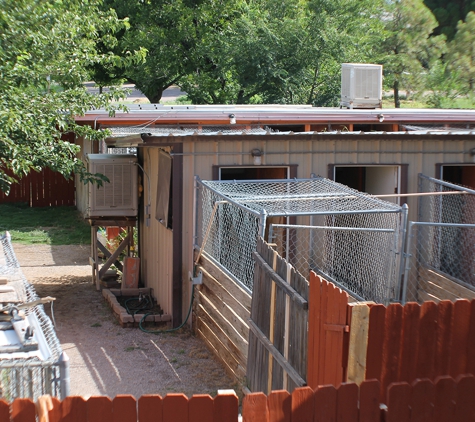 Doggie Dude Ranch & Cat Farm - Las Cruces, NM