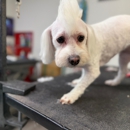 Grateful Dogs Grooming