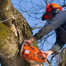 Trey's Tree Service - Grading Contractors