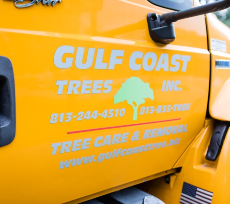 Gulf Coast Trees - Tampa, FL. Tampa Tree Service