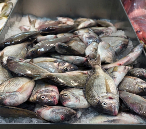 Fulton Fish Market - Bronx, NY