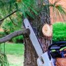McGee's Trees Tree Service - Tree Service