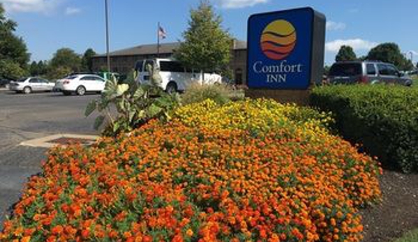 Comfort Inn - Millersburg, OH