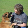 Obediently Yours Professional Dog Training gallery