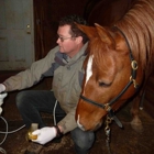Valley Equine Veterinary Service