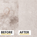 Stanley Steemer Carpet Cleaner - Water Damage Restoration