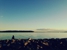 Waterfront Landing - Condominium Management