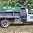 DC Tree and Landscaping Services - Tree Service