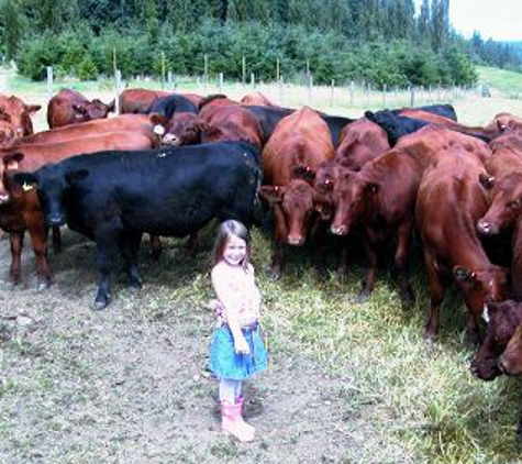 Forest Cattle Company - Sedro Woolley, WA