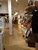 Williams-Sonoma - Cookware & Utensils