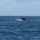 Soleil Adventures Boat Charter - Boat Tours