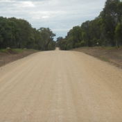 Gallery Image Number 5