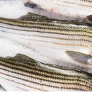 Citarella Gourmet Market - Bridgehampton - Fish & Seafood Markets