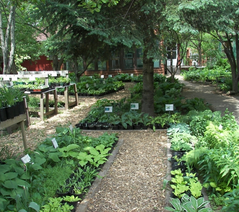 Halfen Garden Center And Hosta Heaven - Chippewa Falls, WI