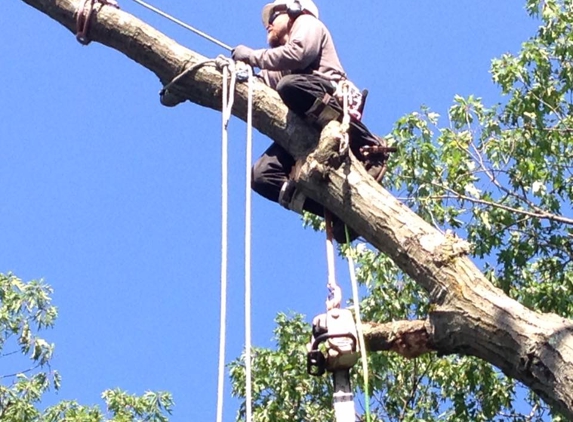 ASC Tree Service INC - Derry, NH