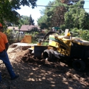 Steve's Stump Grinding - Landscaping & Lawn Services