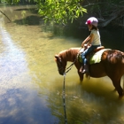 Horse Sense Education and Advocacy