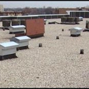 Roof Repair and Leak Experts - Professional Organizations
