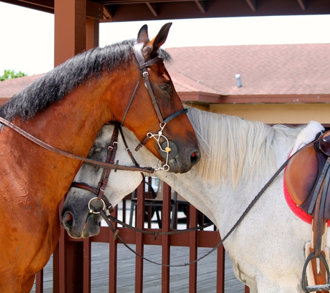 Star Stables Miami - Miami, FL