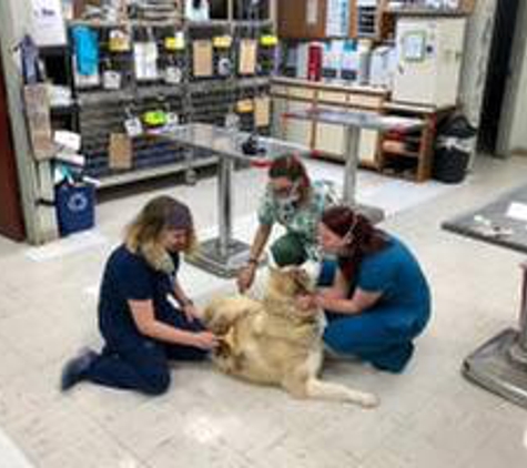 Jonesborough Animal Hospital - Jonesborough, TN