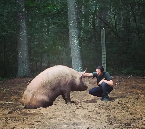 Winslow Farm Animal Sanctuary - Norton, MA