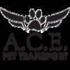 A.C.E. Pet Transport gallery