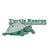 Turtle Rescue of the Hamptons gallery