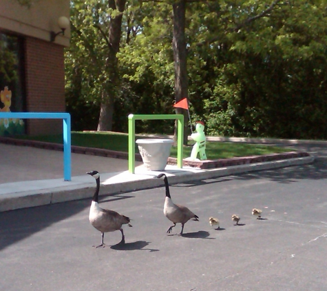 Mon Jardin Child Care Learning Center - Deerfield, IL