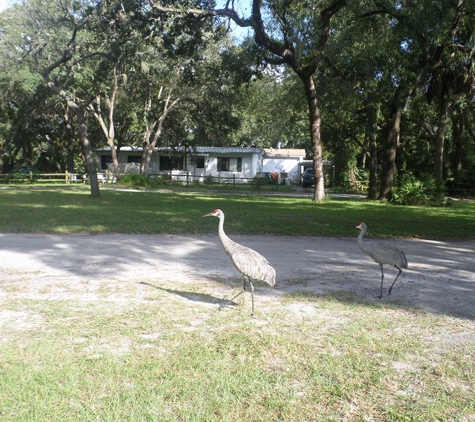 Sunshine Beach Club - Hudson, FL