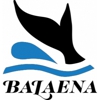 Balaena gallery