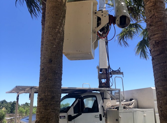 Tri State Tree Service - Pensacola, FL