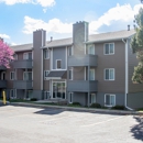 Royalwood Apartments - Apartments