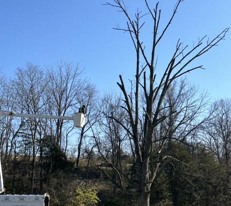 Burds Tree Service LLC - Bangor, PA