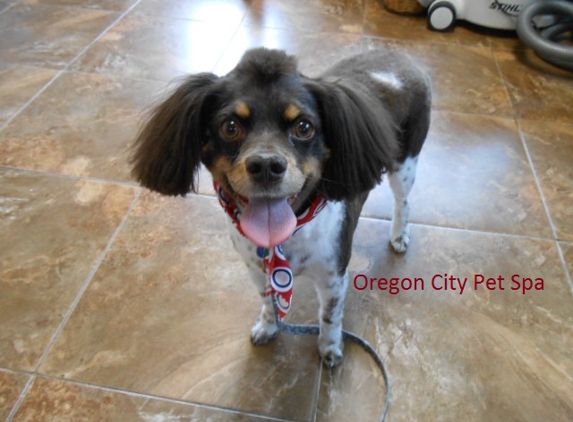 Oregon City Pet Spa - Oregon City, OR