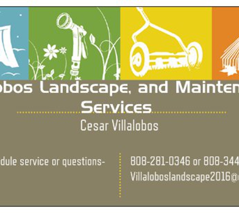 Villalobos Landscape Service  LLC - Kihei, HI