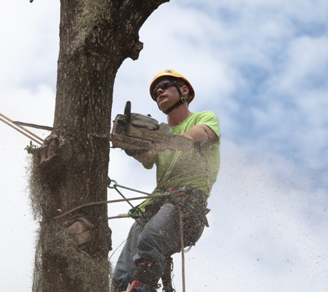 Duffey Tree Care - Brandon, FL