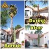 Ace Tree Services Las Vegas gallery