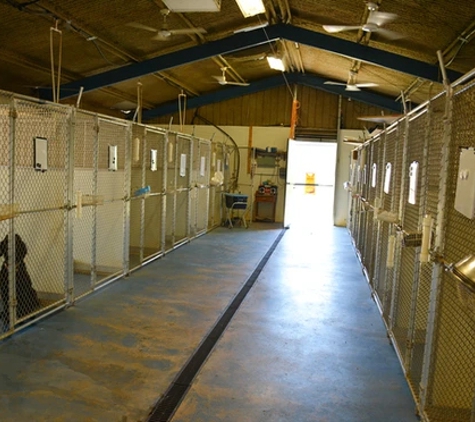 Scooby -Doo Pet Resort - Beverford, VIC