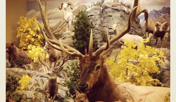 Cabela's - Thornton, CO