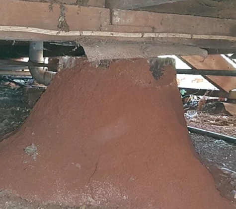 Keiran Mortimer Pest Control - Wilsonton, QLD. Not sure how to spot termites living near your home? Let us check for you!