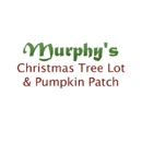 Murphy's Christmas Tree Lot & Pumpkin Patch - Christmas Trees