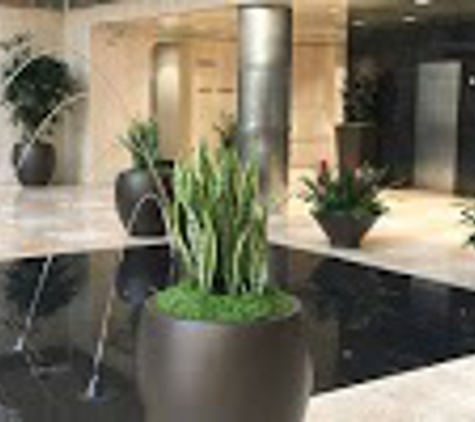 Forever Green Interior Landscaping - San Clemente, CA