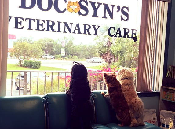 Doc Syn's Veterinary Care - Summerland Key, FL