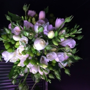 Gallery Image Number 5