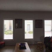 Gallery Image Number 4