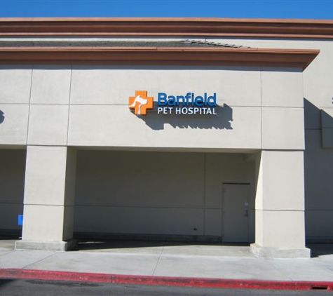 Banfield Pet Hospital - San Diego, CA